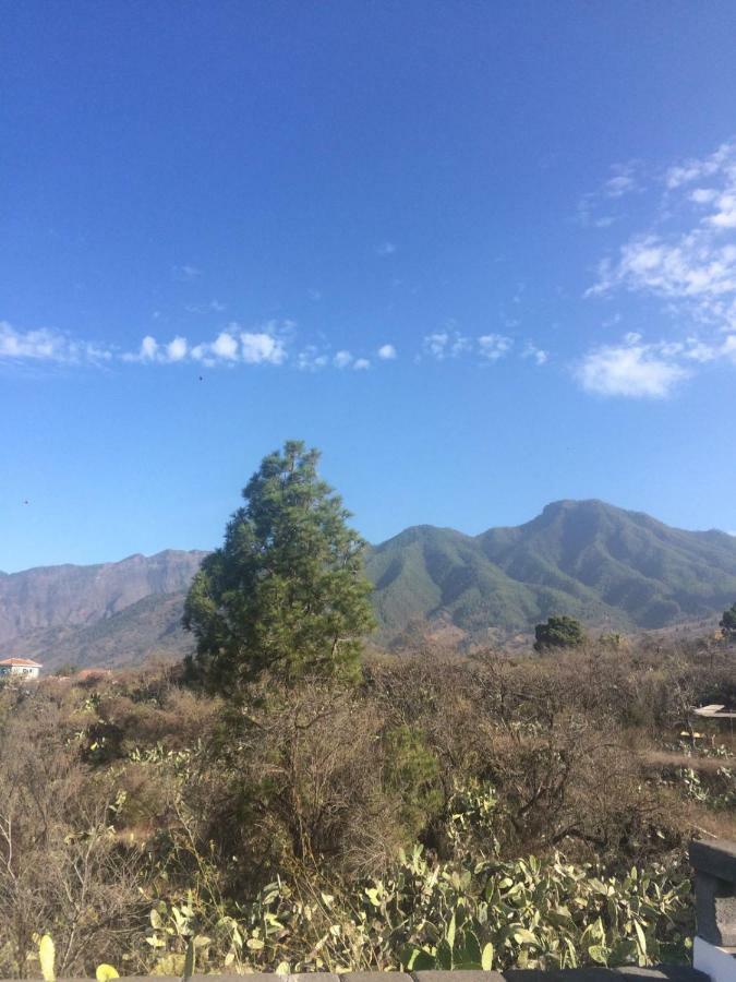 エル・パソ Casa Antiguaゲストハウス エクステリア 写真